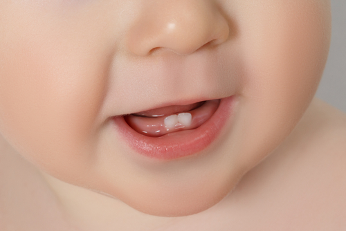 tiny teeth